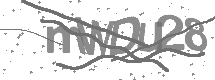 visual captcha